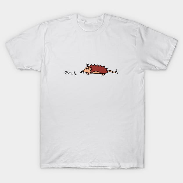 Cat-Hog Chasing A Mouse T-Shirt by Anastasiya Malakhova